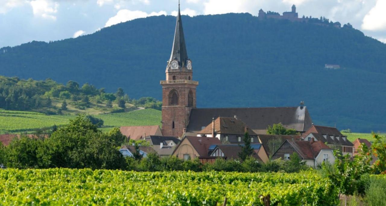 Cocon De Caractere Au Coeur Des Vignes Alsaciennes Lejlighed Bergheim Eksteriør billede