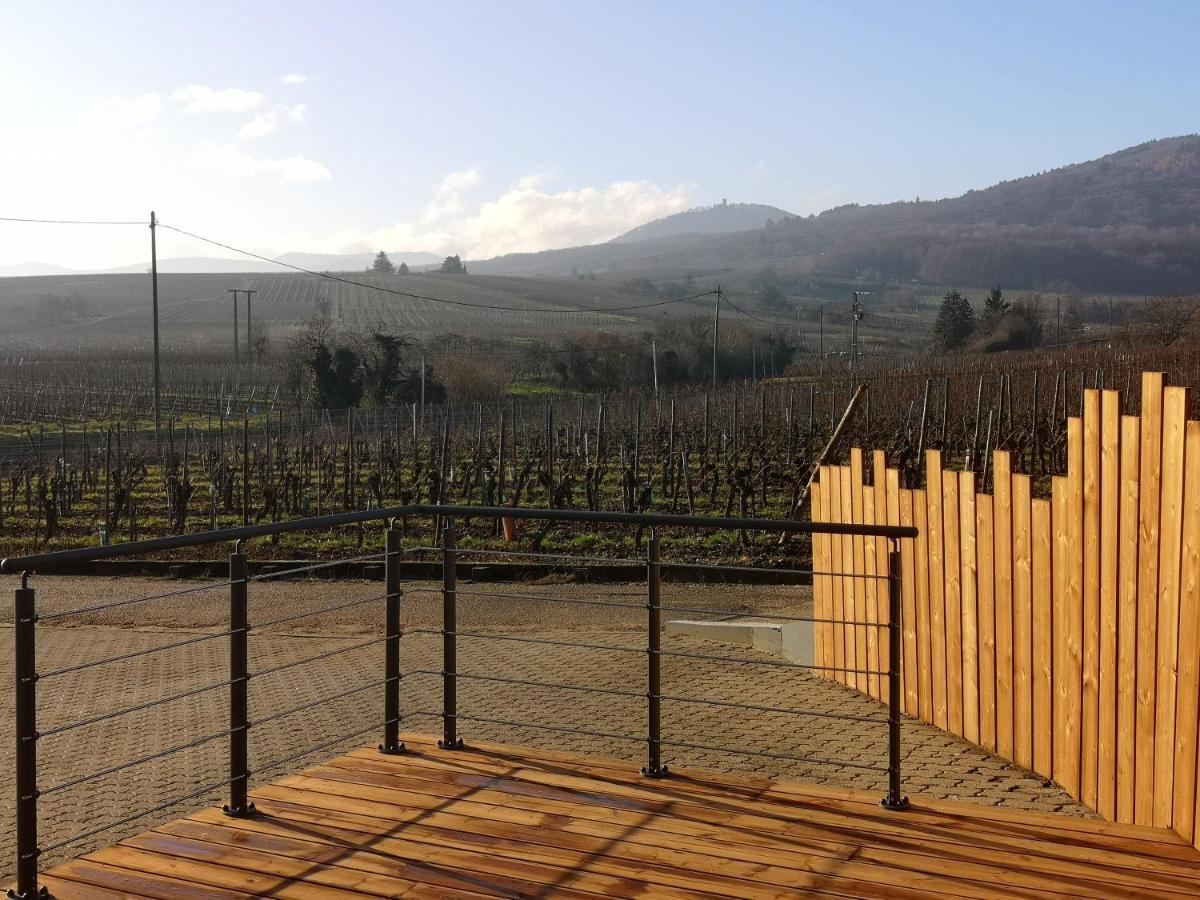 Cocon De Caractere Au Coeur Des Vignes Alsaciennes Lejlighed Bergheim Eksteriør billede