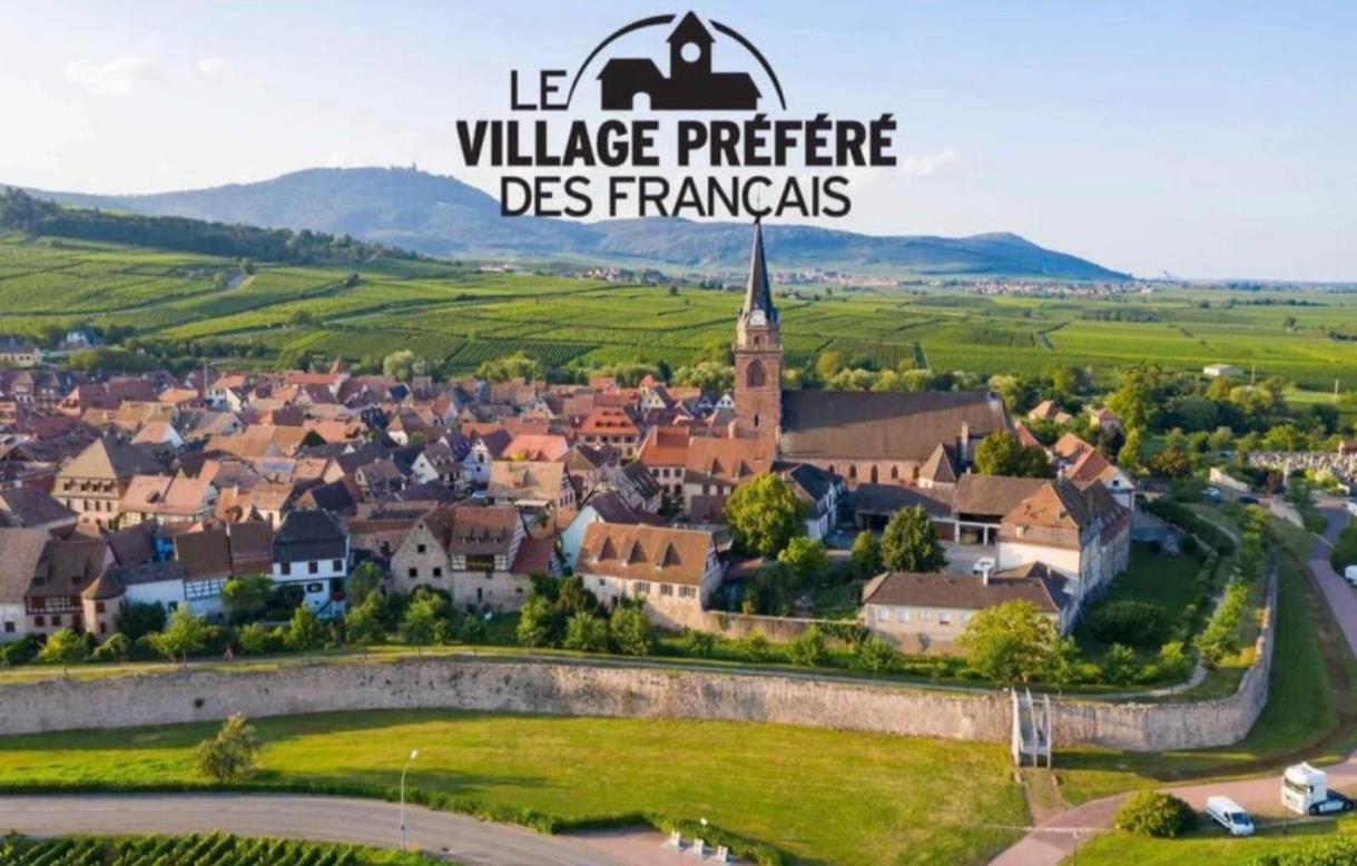 Cocon De Caractere Au Coeur Des Vignes Alsaciennes Lejlighed Bergheim Eksteriør billede